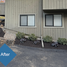 Fall-2025-Planting-Design-Installation-in-Oronoque-Village-Stratford-CT 4